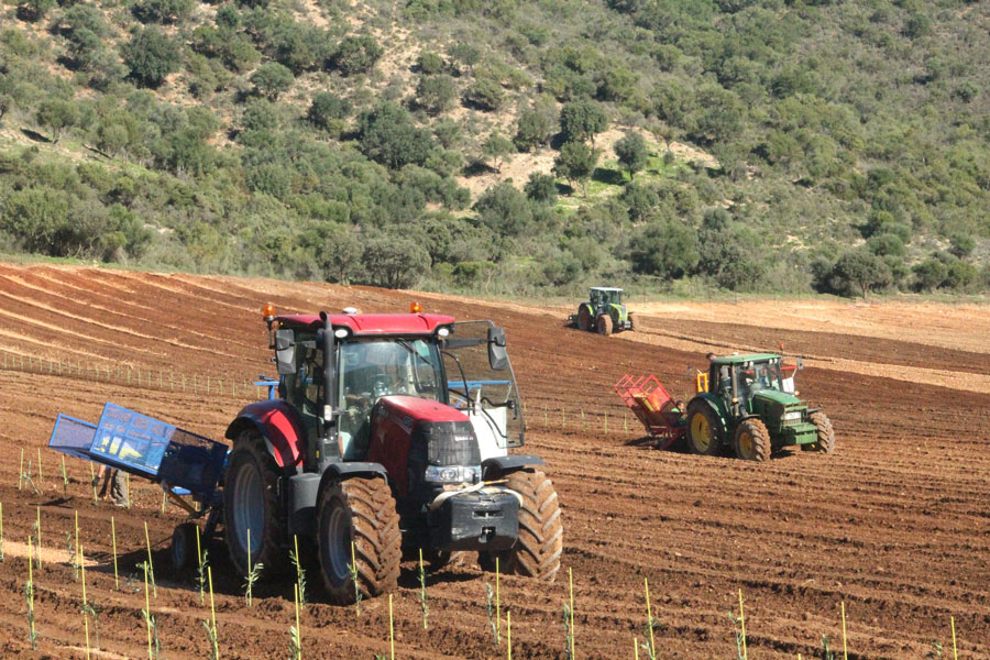 Mantenimiento de fincas